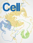 Cell 