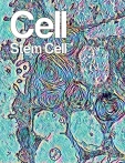 Cell - Stem Cell
