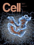 Cell