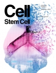 Cell - Stem Cell