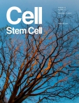 Cell - Stem Cell