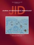 Journal of...