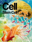 Cell - Stem Cell