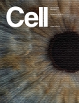 Cell  