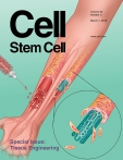 Cell - Stem Cell