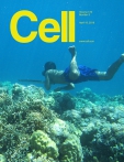 Cell