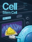 Cell - Stem Cell
