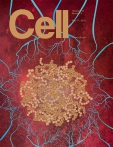 Cell   