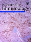 The Journal of...