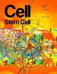 Cell - Stem Cell