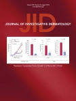 Journal of Investigative Dermatology 
