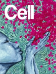 Cell    