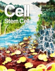 Cell - Stem Cell