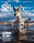 Science         
