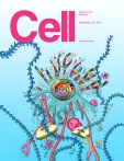 Cell     