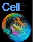 Cell     