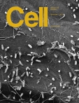 Cell