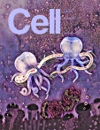 Cell