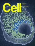Cell