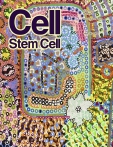 Cell - Stem Cell