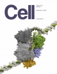 Cell