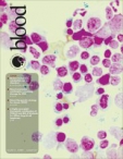 Blood