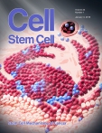 Cell - Stem Cell