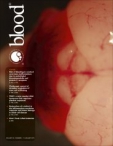 Blood