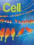Cell