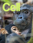 Cell