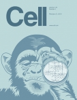 Cell