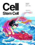 Cell - Stem Cell