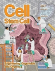 Cell - Stem Cell