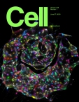Cell