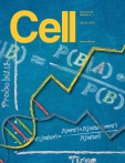 Cell