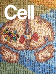 Cell 