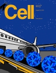 Cell 