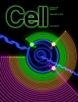 Cell