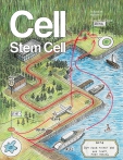 Cell - Stem Cell