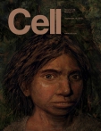 Cell