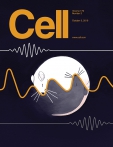 Cell
