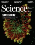 Science