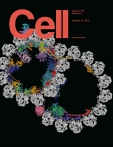 Cell