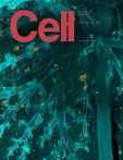 Cell