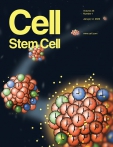 Cell - Stem Cell