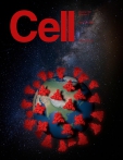 Cell 
