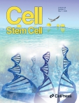 Cell - Stem Cell