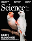 Science 