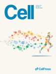 Cell 