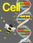 Cell